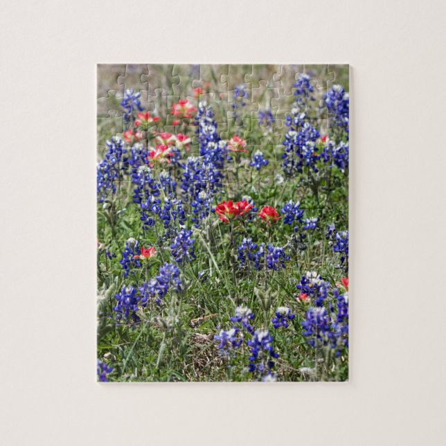Texas Bluebonnets & indiska Paintbrushvildblommar Pussel (Vertikal)