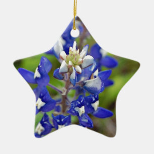 Texas Bluebonnets Julgransprydnad Keramik