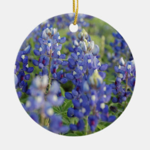 Texas Bluebonnets Julgransprydnad Keramik