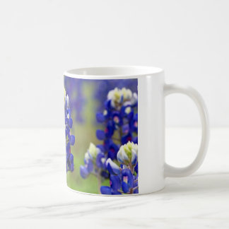 TEXAS BLUEBONNETS KAFFEMUGG