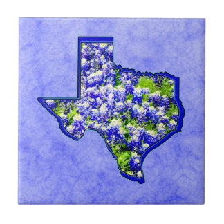TEXAS BLUEBONNETS KAKELPLATTA