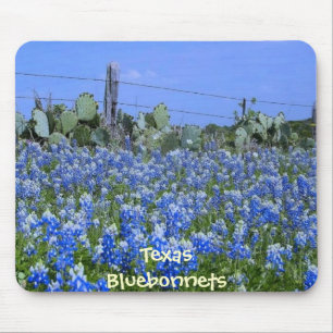 Texas Bluebonnets & kaktus på lantgården Mousepa Musmatta