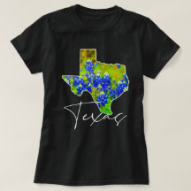 Texas Bluebonnets Konst i Texas