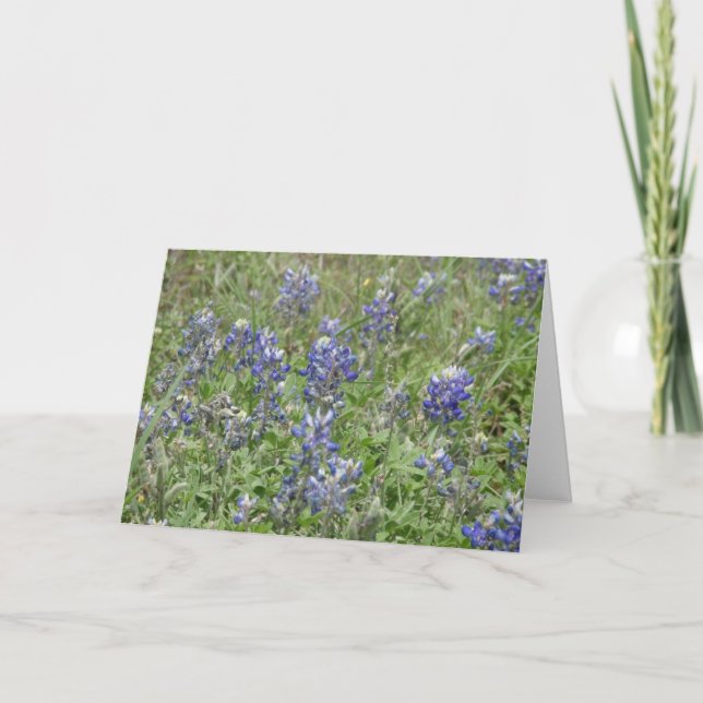 Texas Bluebonnets Kort (Framsida)