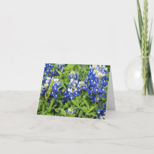 Texas Bluebonnets Kort