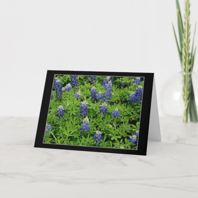 "Texas Bluebonnets ", Kort (Framsida)