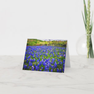 Texas Bluebonnets Kort