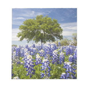Texas bluebonnets(lupinus texensis) och ek anteckningsblock