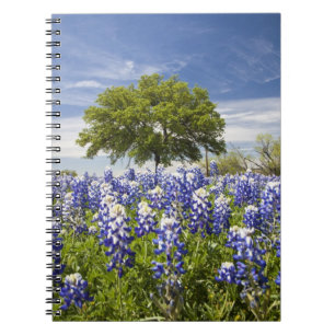 Texas bluebonnets(lupinus texensis) och ek anteckningsbok