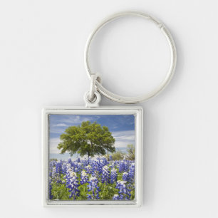 Texas bluebonnets(lupinus texensis) och ek fyrkantig silverfärgad nyckelring