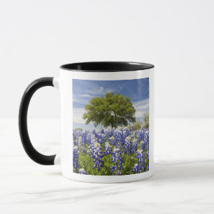 Texas bluebonnets(lupinus texensis) och ek mugg