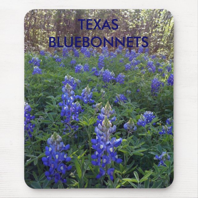 TEXAS BLUEBONNETS MUSMATTA (Framsidan)
