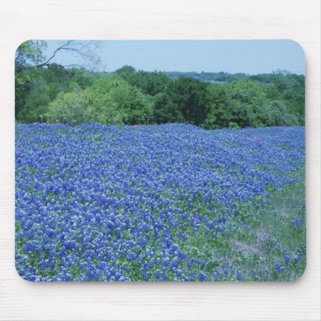 Texas Bluebonnets Musmatta (Framsidan)