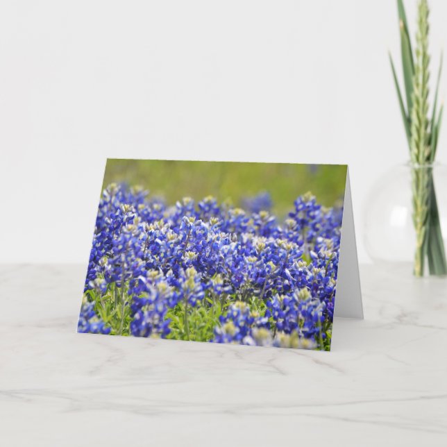 Texas Bluebonnets Note Card Kort (Framsida)