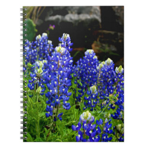 Texas Bluebonnets noterar boken Anteckningsbok
