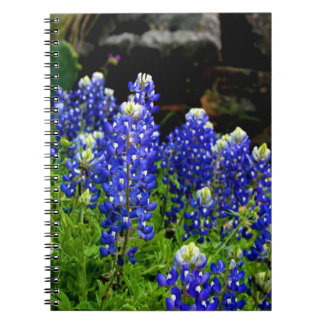 Texas Bluebonnets noterar boken Anteckningsbok