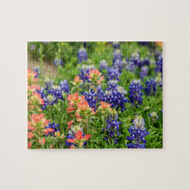 Texas Bluebonnets och Red Paintpenshes wildblommor Pussel (Horisontell)