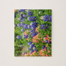 Texas Bluebonnets och Red Paintpenshes wildblommor
