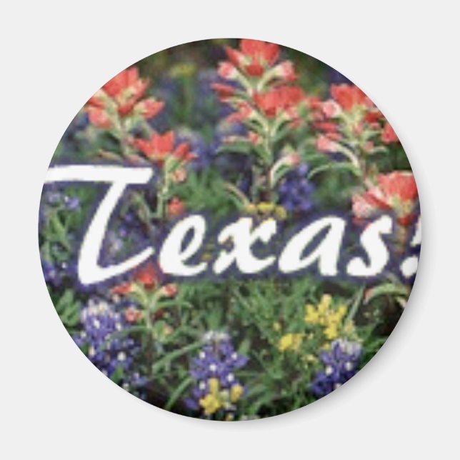 Texas Bluebonnets Paintborstar Magnet (Framsidan)