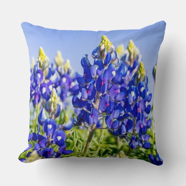 Texas Bluebonnets Pillow Kudde (Framsida)