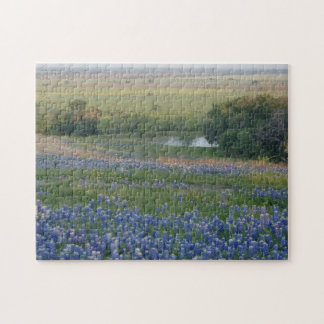 Texas Bluebonnets Pussel