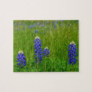 Texas Bluebonnets Pussel