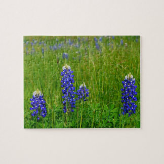 Texas Bluebonnets Pussel