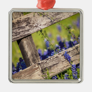 Texas Bluebonnets runt om ett landstaket Julgransprydnad Metall