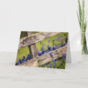 Texas Bluebonnets runt om ett landstaket Kort