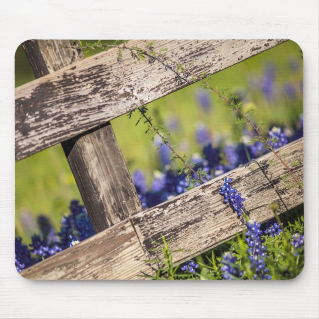 Texas Bluebonnets runt om ett landstaket Musmatta (Framsidan)