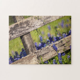 Texas Bluebonnets runt om ett landstaket Pussel
