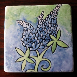 Texas Bluebonnets Stenunderlägg
