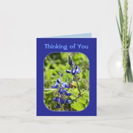 Texas Bluebonnets tänker på dig Kort