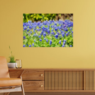 Texas Bluebonnets Vattenfärg Stil Konsttryck Poster