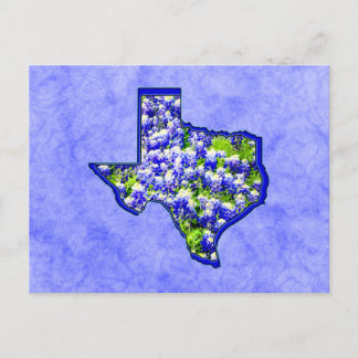 TEXAS BLUEBONNETS VYKORT