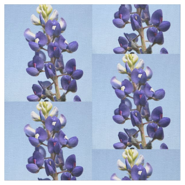 Texas Bluebonnettyg Tyg (Närbild)