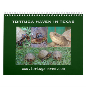 Texas boxas sköldpaddakalendern kalender