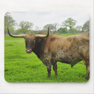Texas brände det orange Longhornråd Musmatta