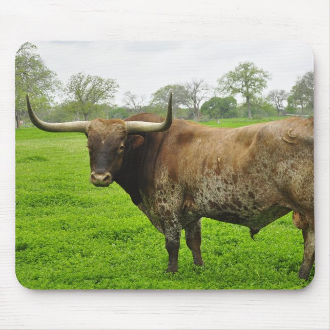 Texas brände det orange Longhornråd Musmatta (Framsidan)