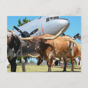 Texas C-47 Skyutbildning Vykort