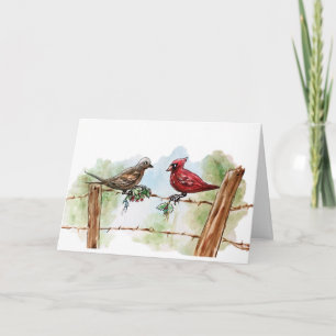 Texas Cardinal-jul Kort