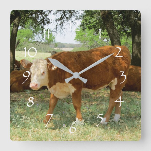 Texas Cow liggande Fyrkantig Klocka (Framsida)