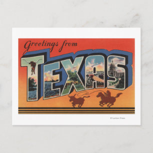 Texas (Cowboy Roping Bull)Large Brev Scenes Vykort