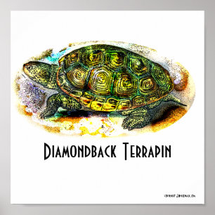 Texas-Diamondback-Terrapin affisch från Junglewal