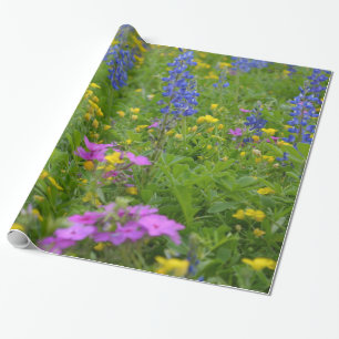 Texas fält av vildblommor och bluebonnets. presentpapper