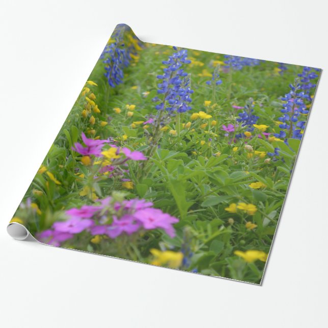 Texas fält av vildblommor och bluebonnets. presentpapper (Utrullad)