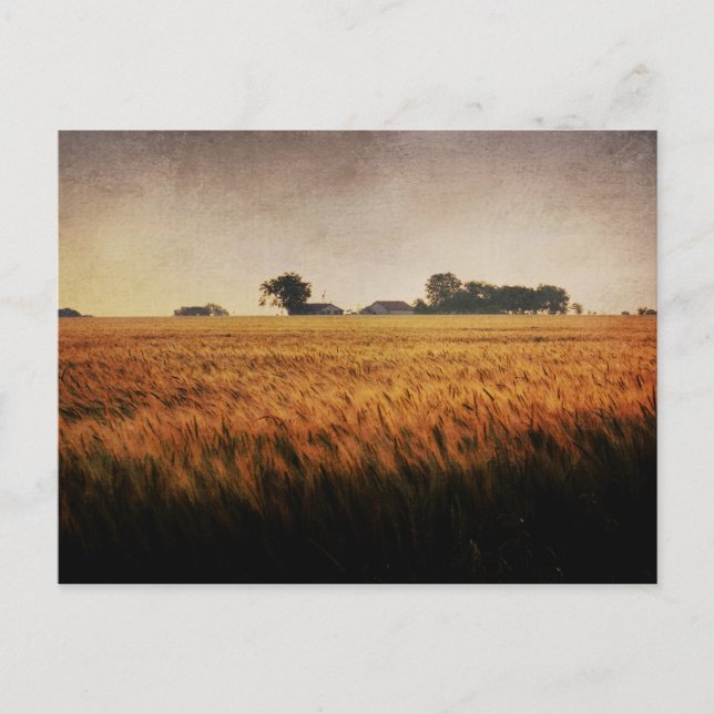 Texas Farm-vykort Vykort (Framsida)