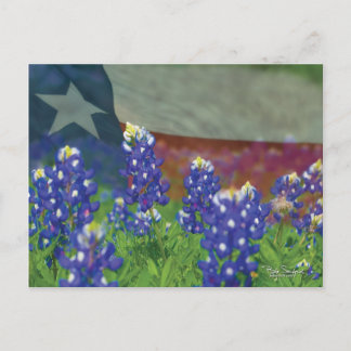 Texas flagga med blånät vykort