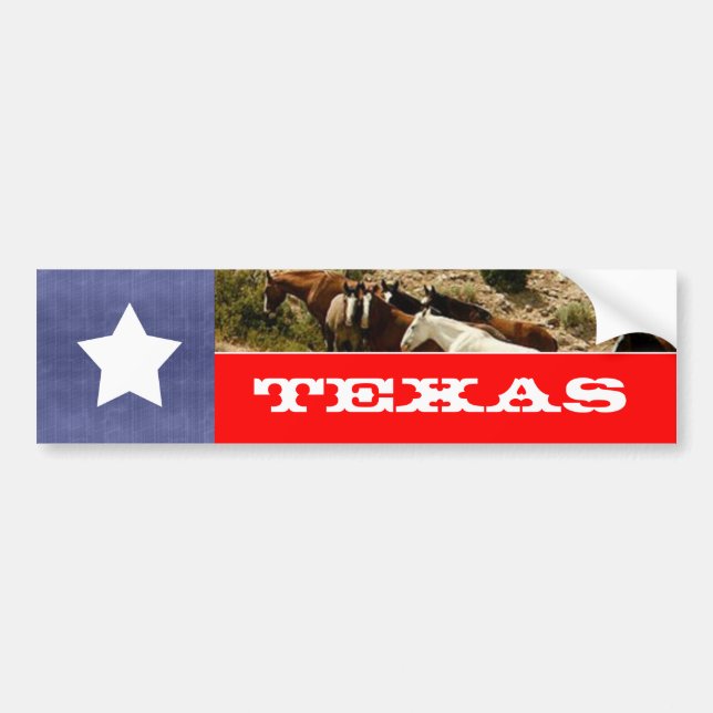 Texas Flagga och hästar Bildekal (Framsidan)