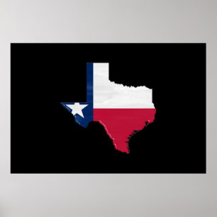 Texas flagga och karta poster